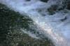 <img100*0:stuff/z/169023/Falls%25206/i1278949403_8.jpg>