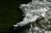<img100*0:stuff/z/169023/Falls%25206/i1278949404_21.jpg>