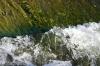 <img100*0:stuff/z/169023/Falls%25207/i1279054775_18.jpg>