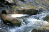 <img100*0:stuff/z/169023/Falls%25207/i1279054775_21.jpg>