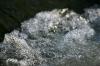 <img100*0:stuff/z/169023/Falls%25207/i1279054775_24.jpg>