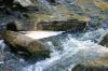 <img100*0:stuff/z/169023/Falls%25207/i1279054775_26.jpg>