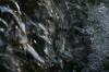 <img100*0:stuff/z/169023/Falls%25207/i1279054775_29.jpg>