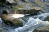 <img100*0:stuff/z/169023/Falls%25207/i1279054776_36.jpg>