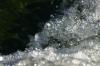<img100*0:stuff/z/169023/Falls%25207/i1279054776_38.jpg>
