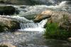 <img100*0:stuff/z/169023/Falls%25208/i1279055104_10.jpg>