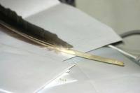 <img200*0:stuff/z/169023/Feather%2520Reference%2520Photos/i1279903431_7.jpg>