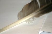 <img200*0:stuff/z/169023/Feather%2520Reference%2520Photos/i1279903432_13.jpg>