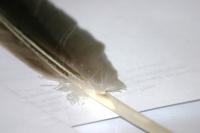 <img200*0:stuff/z/169023/Feather%2520Reference%2520Photos/i1279903432_21.jpg>