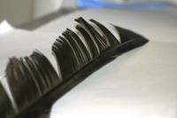 <img200*0:stuff/z/169023/Feather%2520Reference%2520Photos/i1279903432_23.jpg>