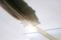 <img200*0:stuff/z/169023/Feather%2520Reference%2520Photos/i1279903433_27.jpg>