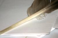 <img200*0:stuff/z/169023/Feather%2520Reference%2520Photos/i1279903433_28.jpg>