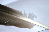 <img200*0:stuff/z/169023/Feather%2520Reference%2520Photos/i1279903433_30.jpg>