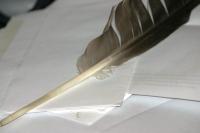 <img200*0:stuff/z/169023/Feather%2520Reference%2520Photos/i1279903433_33.jpg>