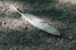<img150*0:stuff/z/169023/Feather%2520Reference/i1278615875_10.jpg>