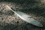 <img150*0:stuff/z/169023/Feather%2520Reference/i1278615875_7.jpg>