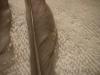 <img100*0:stuff/z/169023/Feathers%2520118/i1259866099_12.jpg>