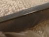 <img100*0:stuff/z/169023/Feathers%2520118/i1259866099_3.jpg>