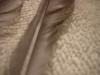 <img100*0:stuff/z/169023/Feathers%2520118/i1259866100_18.jpg>