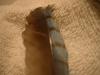 <img100*0:stuff/z/169023/Feathers%2520118/i1259866100_21.jpg>