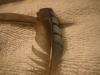 <img100*0:stuff/z/169023/Feathers%2520118/i1259866100_28.jpg>
