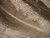 <img100*0:stuff/z/169023/Feathers%2520118/i1259866100_30.jpg>