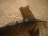 <img100*0:stuff/z/169023/Feathers%2520118/i1259866100_31.jpg>