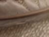 <img100*0:stuff/z/169023/Feathers%2520118/i1259866100_32.jpg>