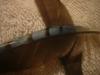 <img100*0:stuff/z/169023/Feathers%2520118/i1259866100_37.jpg>