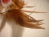 <img100*0:stuff/z/169023/Feathers%252013/i1259626765_2.jpg>