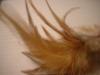 <img100*0:stuff/z/169023/Feathers%252013/i1259626766_8.jpg>