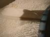 <img100*0:stuff/z/169023/Feathers%252042/i1259866229_2.jpg>