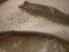<img100*0:stuff/z/169023/Feathers%252042/i1259866230_10.jpg>