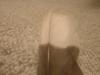 <img100*0:stuff/z/169023/Feathers%252042/i1259866230_11.jpg>