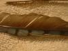 <img100*0:stuff/z/169023/Feathers%252042/i1259866230_13.jpg>