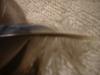 <img100*0:stuff/z/169023/Feathers%252042/i1259866230_14.jpg>