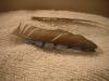 <img100*0:stuff/z/169023/Feathers%252042/i1259866230_19.jpg>