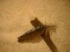 <img100*0:stuff/z/169023/Feathers%252042/i1259866230_21.jpg>