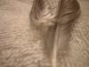<img100*0:stuff/z/169023/Feathers%252042/i1259866230_22.jpg>
