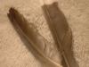 <img100*0:stuff/z/169023/Feathers%252042/i1259866230_23.jpg>