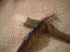 <img100*0:stuff/z/169023/Feathers%252042/i1259866231_32.jpg>