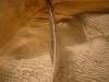 <img100*0:stuff/z/169023/Feathers%252083/i1259866255_10.jpg>