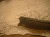 <img100*0:stuff/z/169023/Feathers%252083/i1259866255_2.jpg>