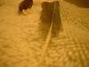 <img100*0:stuff/z/169023/Feathers%252083/i1259866255_8.jpg>
