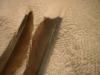 <img100*0:stuff/z/169023/Feathers%252083/i1259866255_9.jpg>