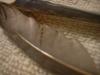 <img100*0:stuff/z/169023/Feathers%252083/i1259866256_19.jpg>