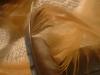 <img100*0:stuff/z/169023/Feathers%252083/i1259866256_22.jpg>