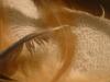 <img100*0:stuff/z/169023/Feathers%252083/i1259866256_32.jpg>