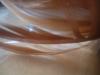<img100*0:stuff/z/169023/Feathers/i1258922979_5.jpg>