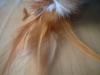 <img100*0:stuff/z/169023/Feathers/i1258922980_7.jpg>